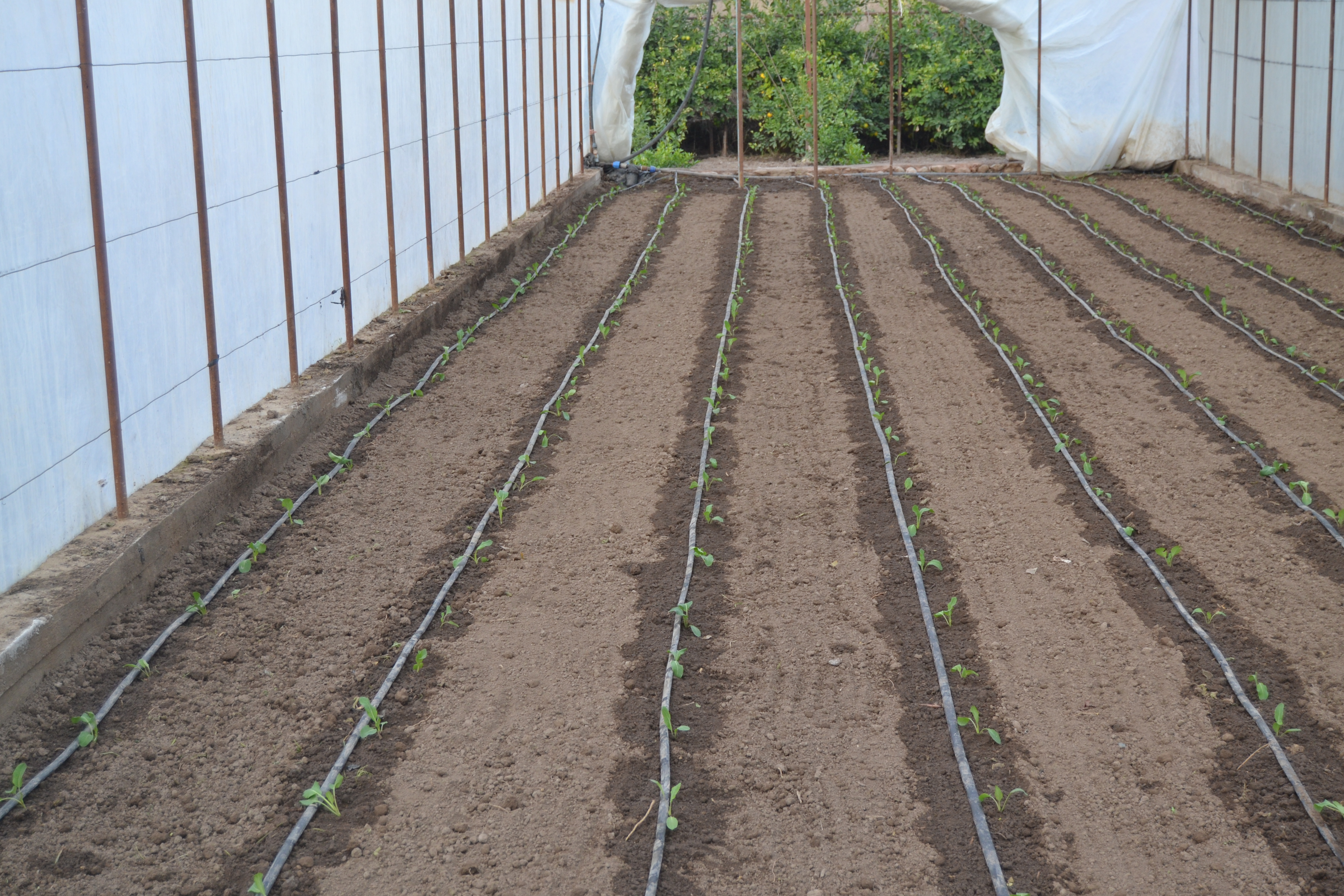 Economic and social development through electrification of remote mountainous villages in Tajikistan.