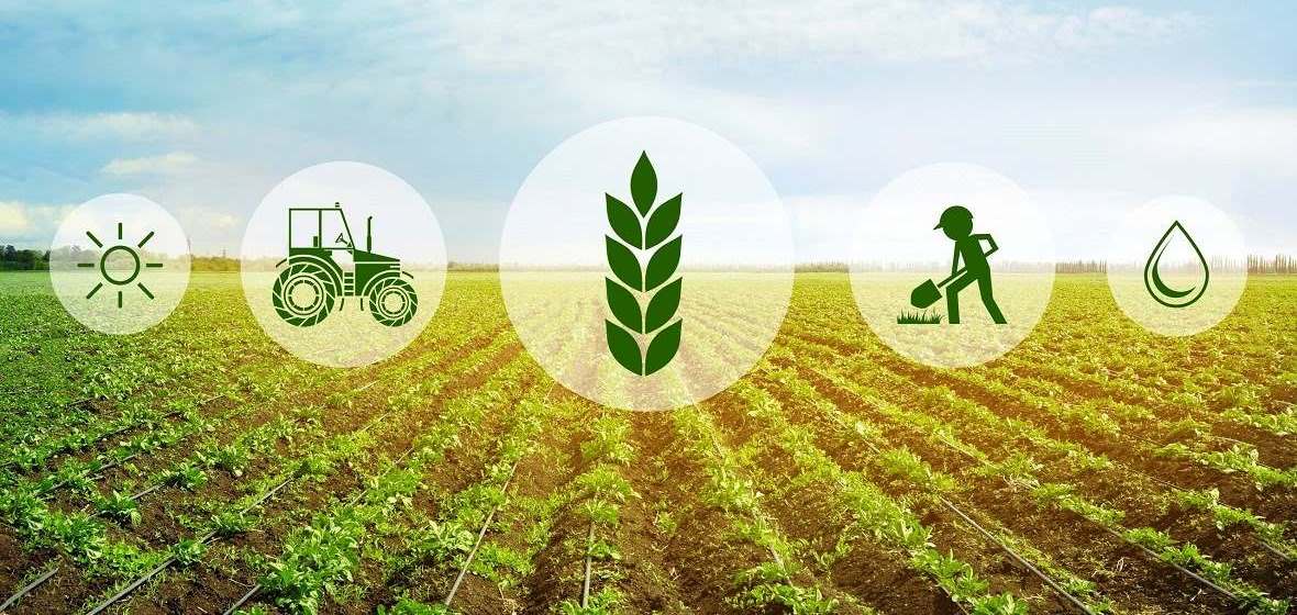 Transformative conservation agriculture in the Ishkashim region