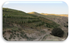 Efficiency in Farming and Energy Consumption: Promotion of climate-smart innovations in rural areas of Central Tajikistan.