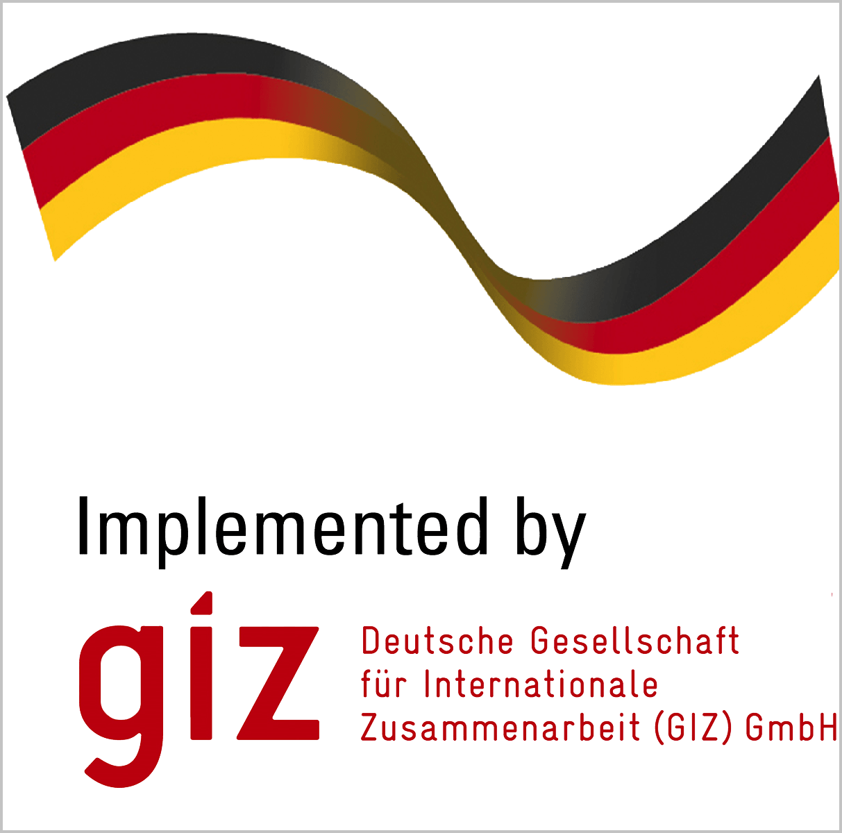 Германское общество по международному сотрудничеству (GIZ)