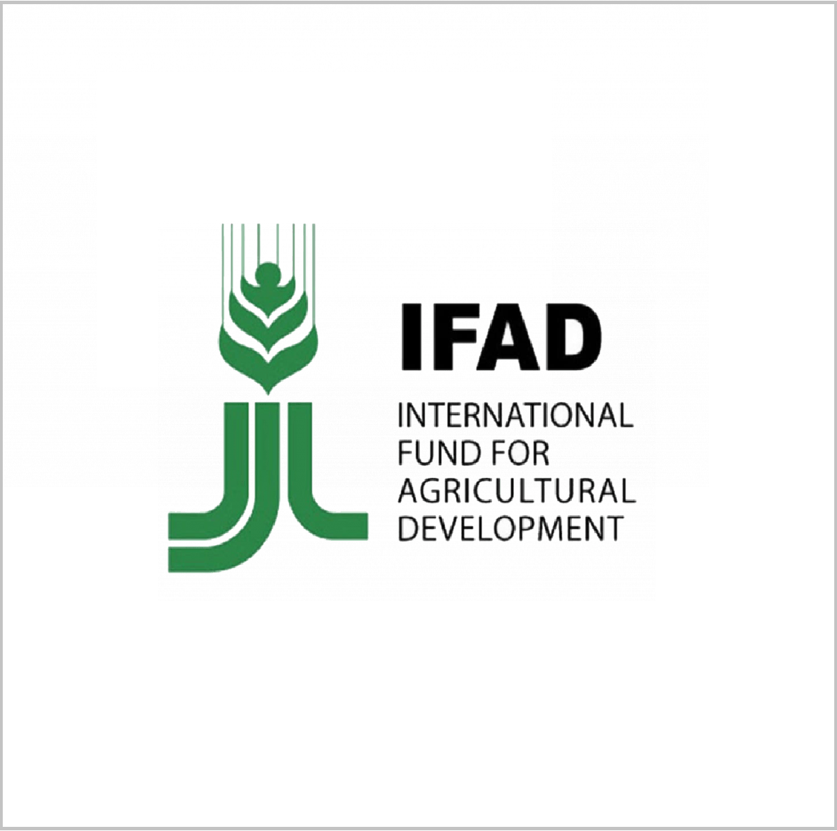 Международный фонд сельскохозяйственного развития (МФСР / IFAD)