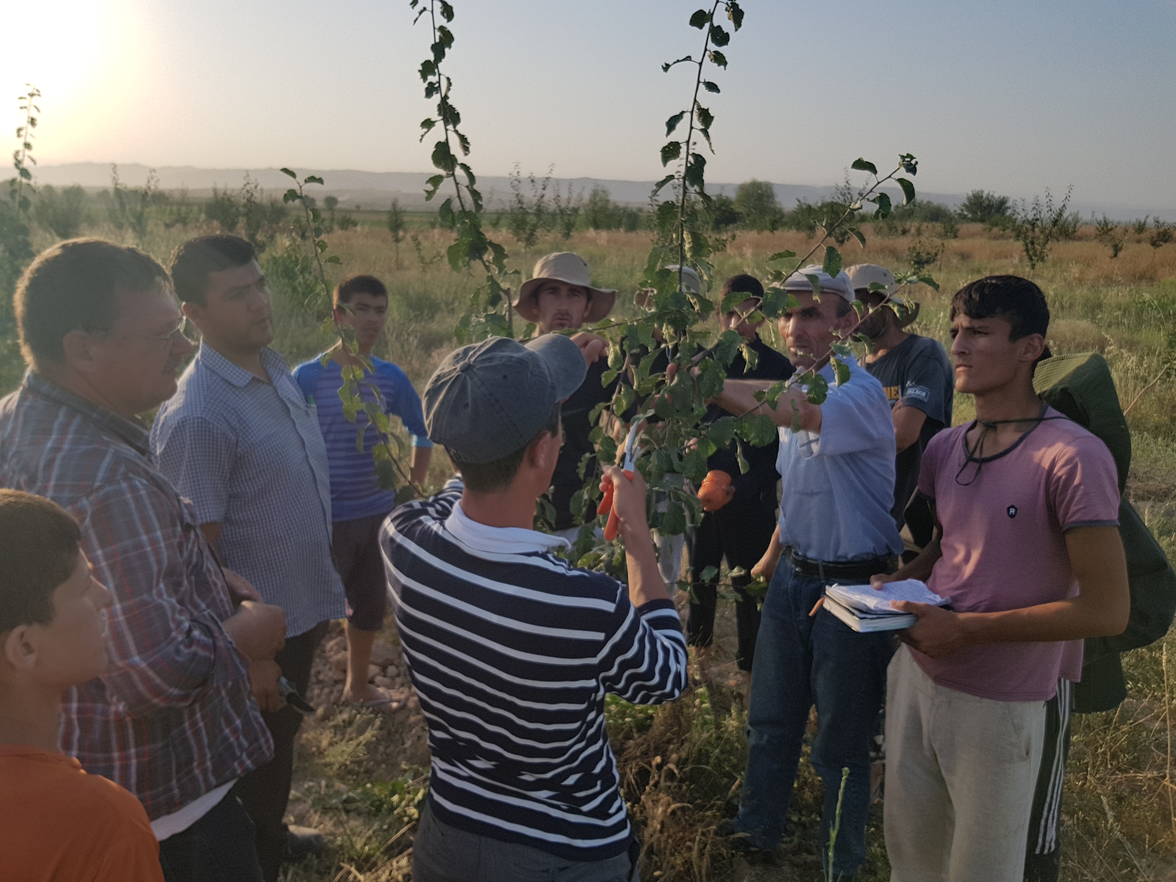 Efficiency in Farming and Energy Consumption: Promotion of climate-smart innovations in rural areas of Central Tajikistan.