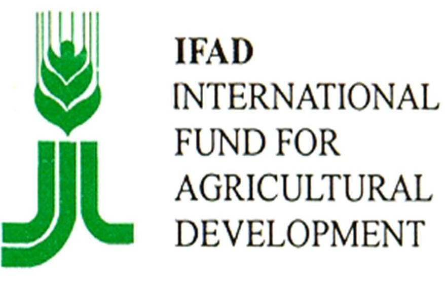 Международный фонд сельскохозяйственного развития